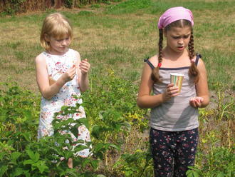 Пуховка. Июль 2017