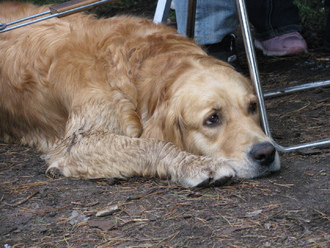 2012-07 Чебоксары