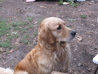 2012-07 Чебоксары