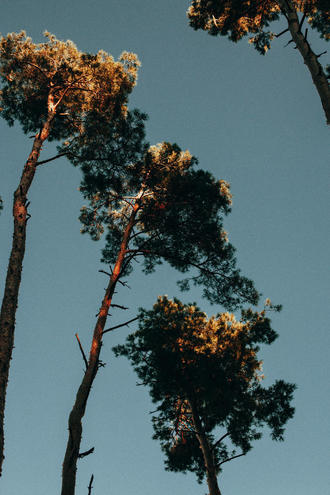 Киевское море, ноябрь 2021