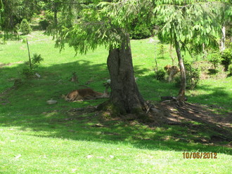 2012-06 Яремче