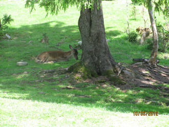 2012-06 Яремче