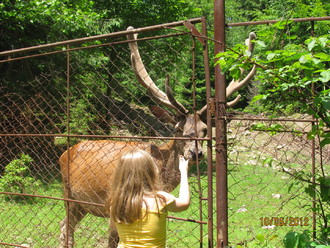 2012-06 Яремче