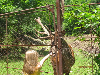 2012-06 Яремче