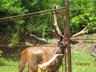 2012-06 Яремче