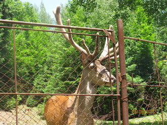 2012-06 Яремче