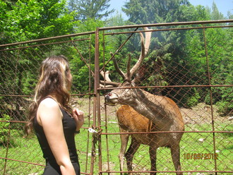 2012-06 Яремче