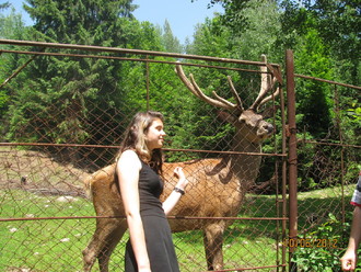 2012-06 Яремче