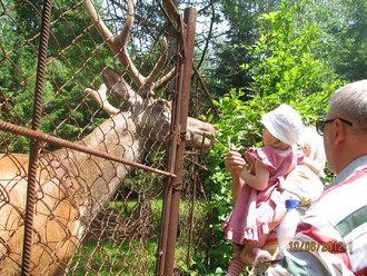 2012-06 Яремче