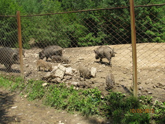 2012-06 Яремче