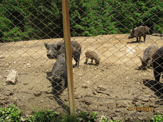 2012-06 Яремче