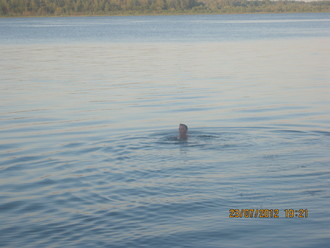 2012-07 Чебоксары