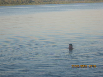 2012-07 Чебоксары