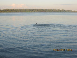 2012-07 Чебоксары