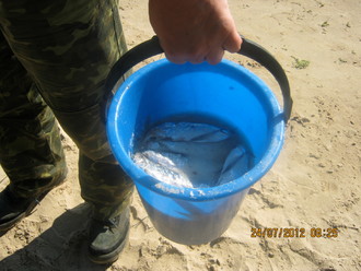 2012-07 Чебоксары