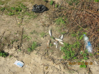 2012-07 Чебоксары