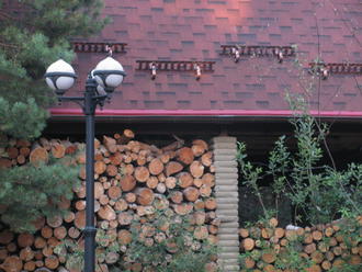 2016-07-16 ДР мамы Лены