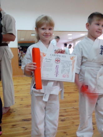 Аттестация на пояс