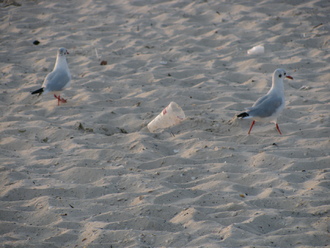 2015-08 Море Железный Порт