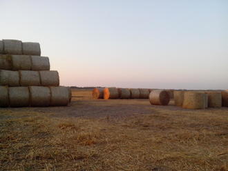 Покатушки по Киево-Черниговской области