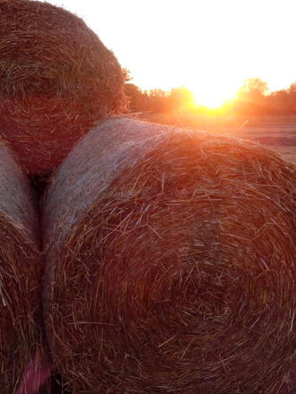 Покатушки по Киево-Черниговской области