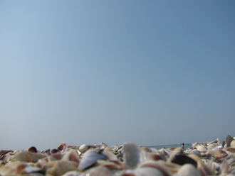 2015-08 Море Железный Порт