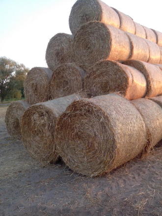 Покатушки по Киево-Черниговской области