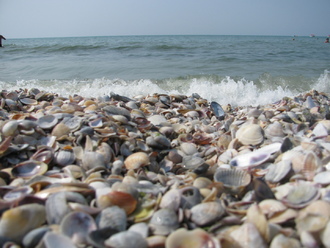 2015-08 Море Железный Порт