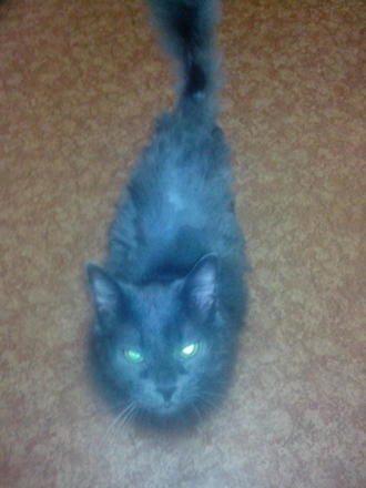 Грумер, говорите?