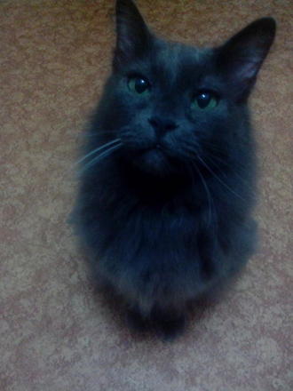 Грумер, говорите?