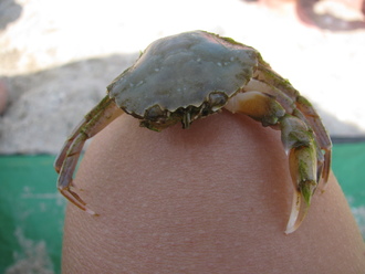 2015-08 Море Железный Порт