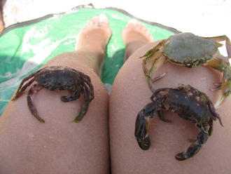 2015-08 Море Железный Порт