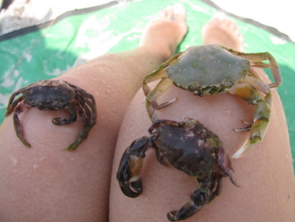 2015-08 Море Железный Порт