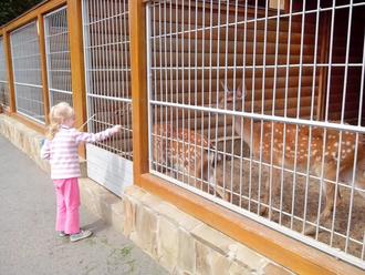 День Независимости в Межигорье