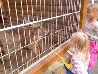 День Независимости в Межигорье