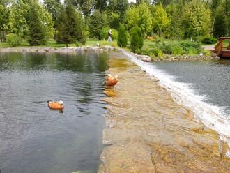 День Независимости в Межигорье