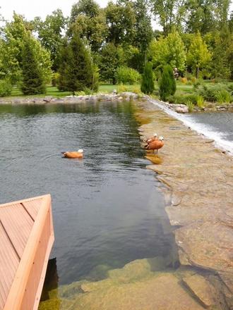 День Независимости в Межигорье