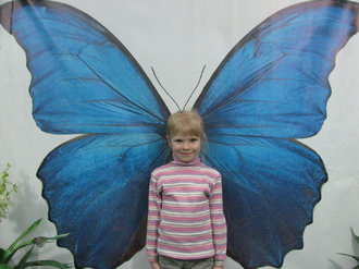 2016-01-10 Выставка бабочек