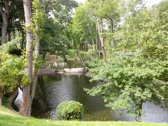 День Независимости в Межигорье