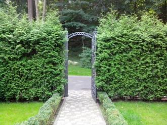 День Независимости в Межигорье