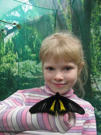 2016-01-10 Выставка бабочек