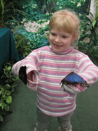 2016-01-10 Выставка бабочек