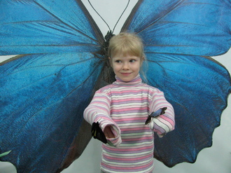 2016-01-10 Выставка бабочек