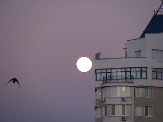 2015-08 Море Железный Порт