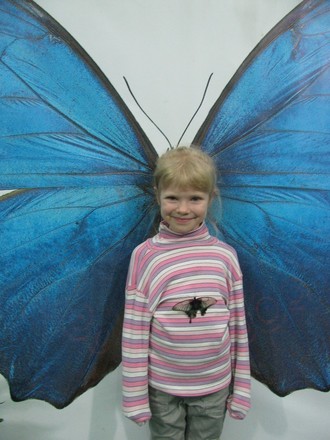 2016-01-10 Выставка бабочек