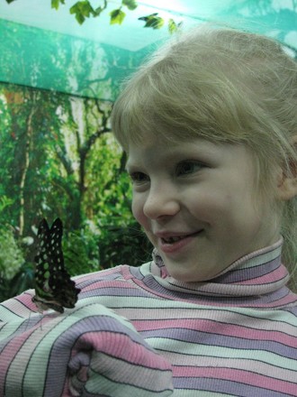 2016-01-10 Выставка бабочек