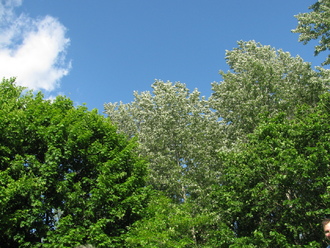 2016-05-21 ДР_Владика