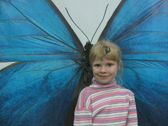 2016-01-10 Выставка бабочек