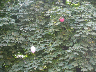 2015-09-01 Первый класс!